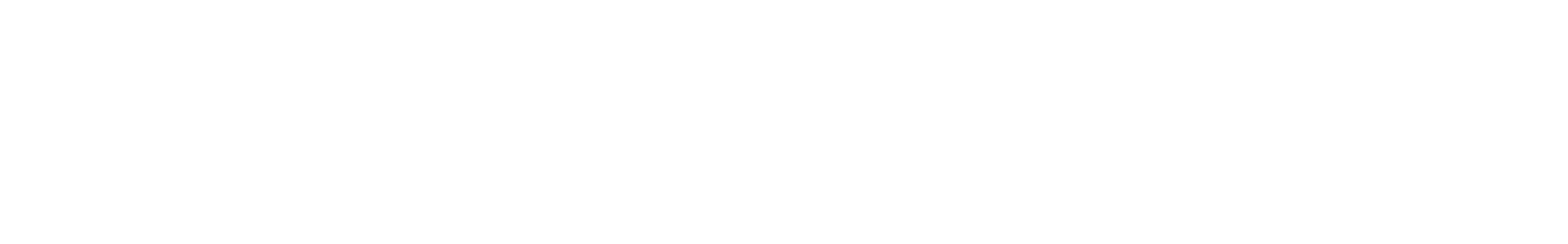 stepvionex-logo